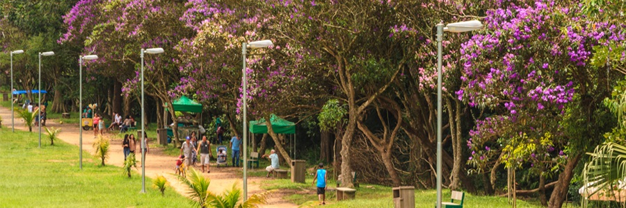 Pessoas caminham de máscaras no Parque do Carmo cercado de árvores verdes grandes e flores rosas